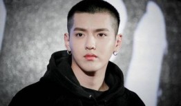 小八卦最新爆料杨紫肖战,神秘新剧引期待