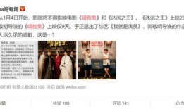 映晴雅集最新爆料,揭秘神秘项目背后的故事