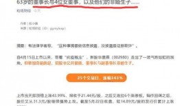国内上市公司最新爆料,业绩增长与行业变革并行
