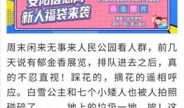 河南安阳最新爆料,揭秘古城神秘事件背后的真相