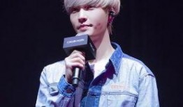 张艺兴最新爆料文案,揭秘幕后故事与心路历程