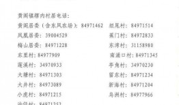 aka刀枪不入最新爆料,揭秘神秘身份与惊人真相