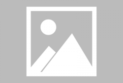 广东梅姐爆料最新消息,揭秘梅州地区重大新闻事件！