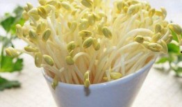 豆芽爆料视频大全最新,揭秘娱乐圈幕后真相