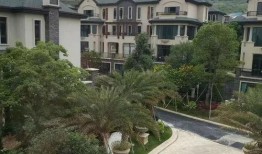 辽沈银行最新爆料电话号,神秘电话号码揭露惊人内幕！