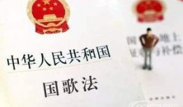 山东今日民生爆料最新,聚焦今日热点事件与民生关切