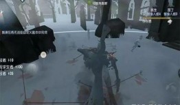 第五人格气象学家最新爆料,揭秘游戏神秘气象系统与角色关联