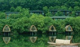 辽沈银行最新爆料电话号,神秘电话号码揭露惊人内幕！