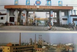 临颖新闻爆料网最新动态,揭秘临颖本土热点事件！