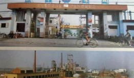 临颖新闻爆料网最新动态,揭秘临颖本土热点事件！