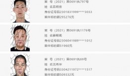 杭州爆料名人名单最新,网络舆论场的新动向与焦点人物