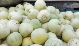 临颖新闻爆料网最新动态,揭秘临颖本土热点事件！