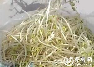 豆芽爆料视频大全最新,揭秘娱乐圈幕后真相