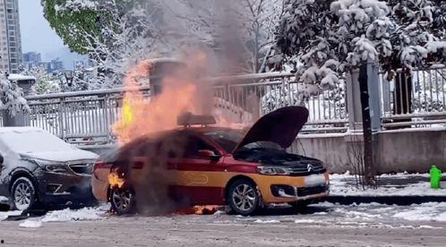 利川的士最新爆料,揭秘背后惊人真相